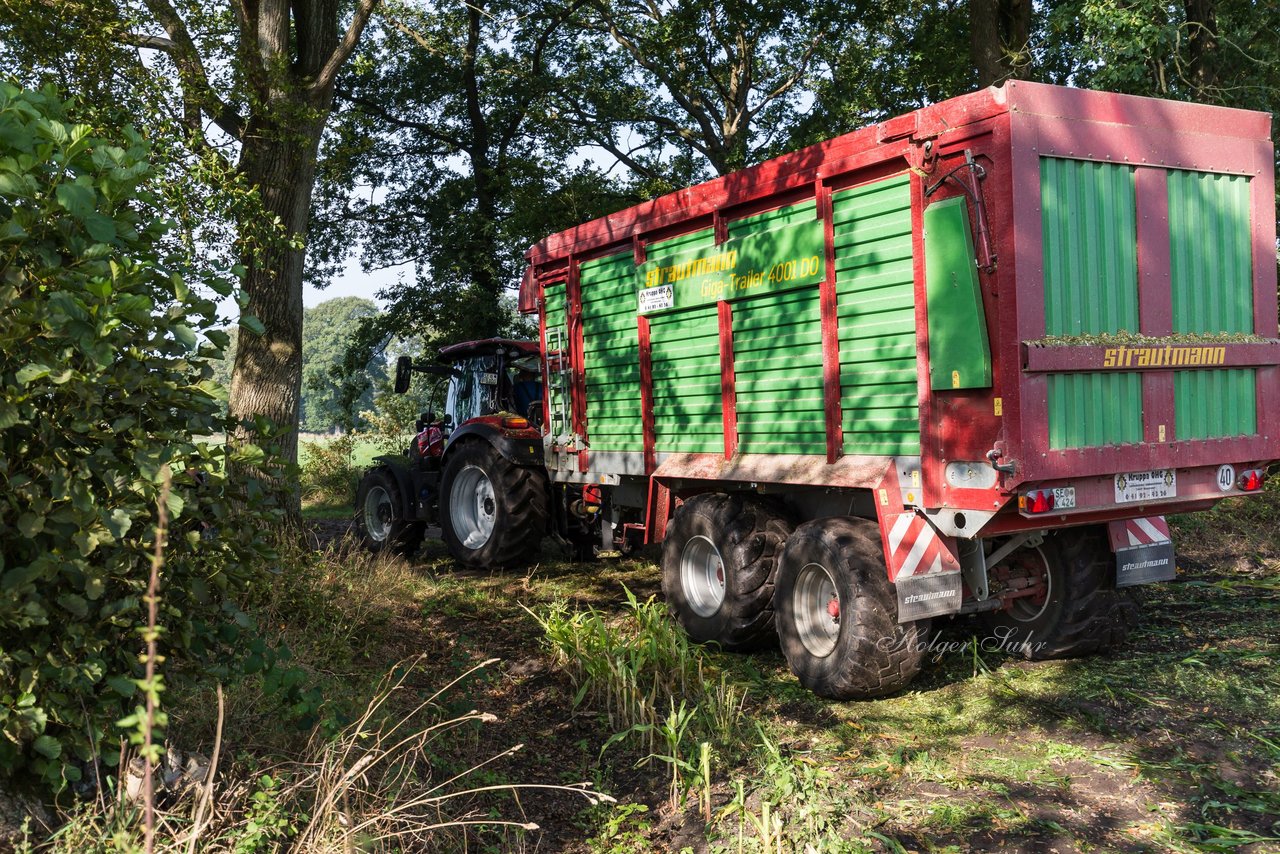 Bild 203 - Maisernte